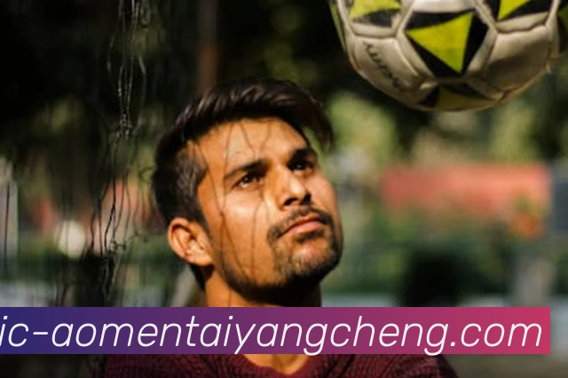 澳门太阳城平台生态图